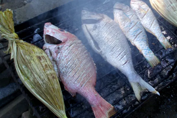 ビトゥンで食べる