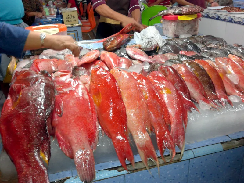 パサール・トゥア