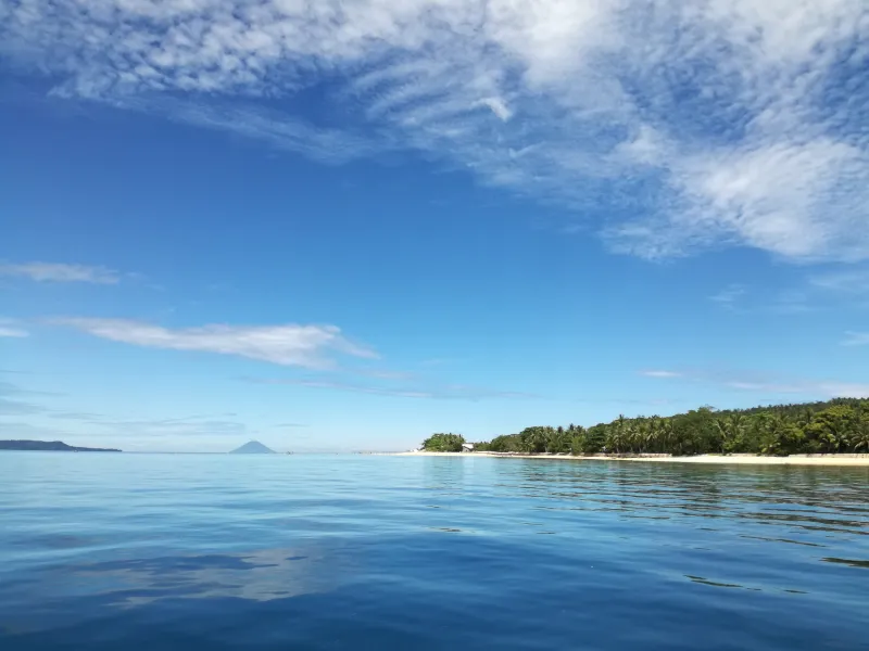 北スラウェシの海とヤシの木