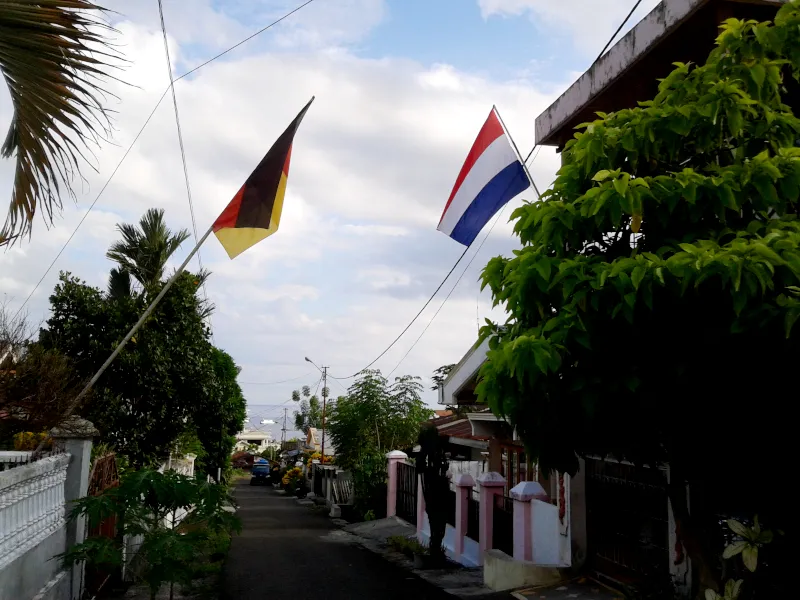 たなびく巨大国旗