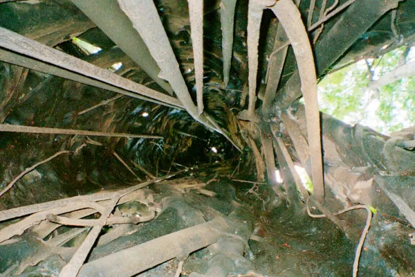 タンココ自然保護区