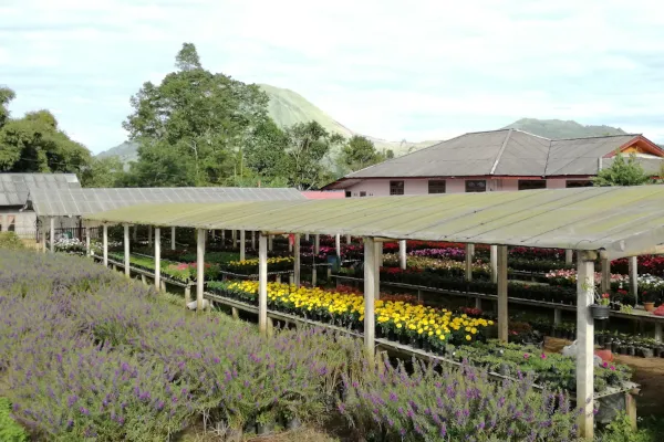 ミナハサ高原を巡る