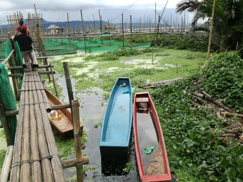 トンダノ湖の養殖場
