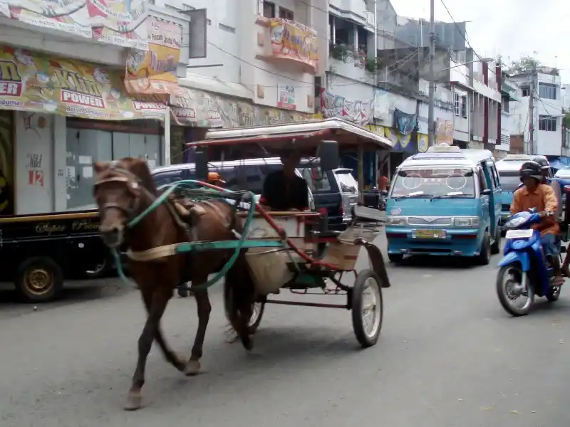 馬車 （Bendi）