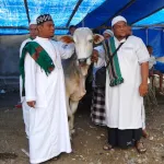 生贄(牛)のお披露目