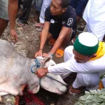 イスラム式の屠殺