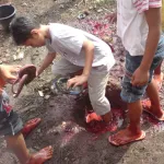 生贄(牛)の血で足を清める子どもたち