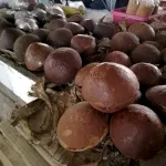 トモホンの伝統市場 ヤシ砂糖