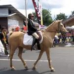 Tomohon Flower Festival