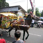 Tomohon Flower Festival