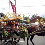 Tomohon Flower Festival