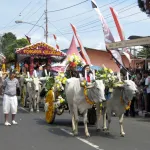 Tomohon Flower Festival