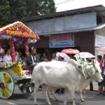Tomohon Flower Festival