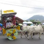 Tomohon Flower Festival