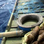 釣り糸