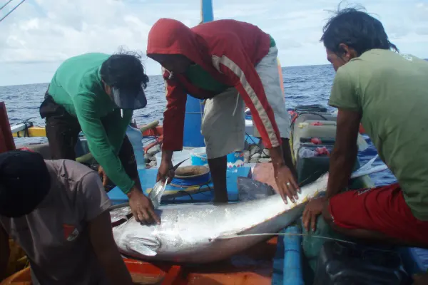 ビトゥンの伝統的マグロ漁