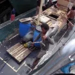 マグロの水揚げ